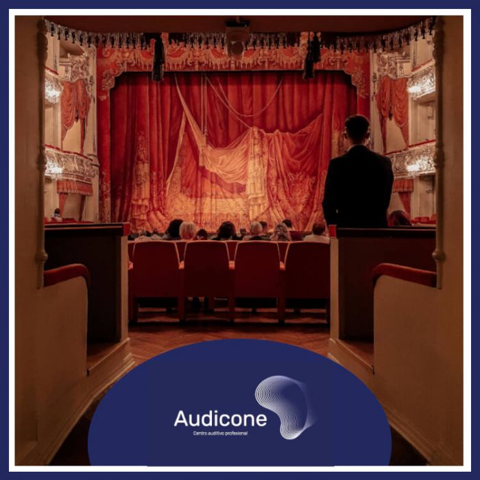 Accesibilidad auditiva