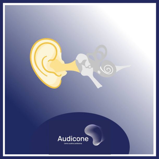 Fisiología de la audición